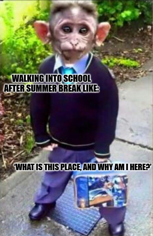 Funny School Memes