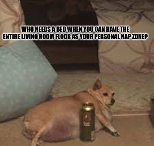 Dog Meme