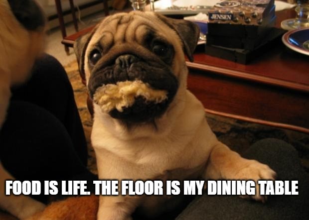 Dog Meme