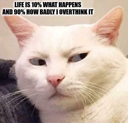 Relatable Funny Memes About Life