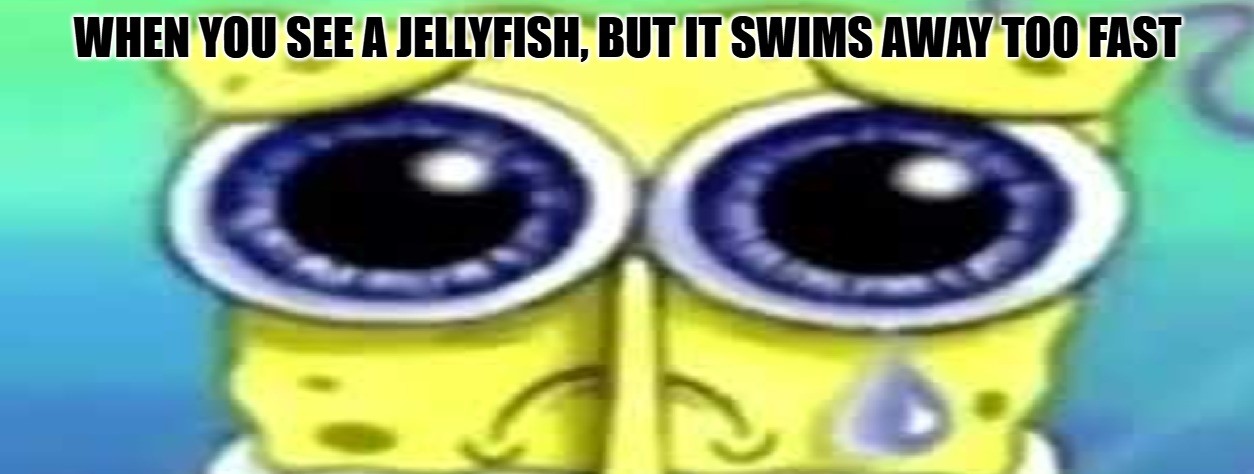 Sad SpongeBob Meme