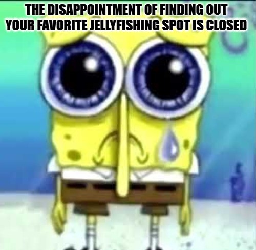 SpongeBob Crying Meme
