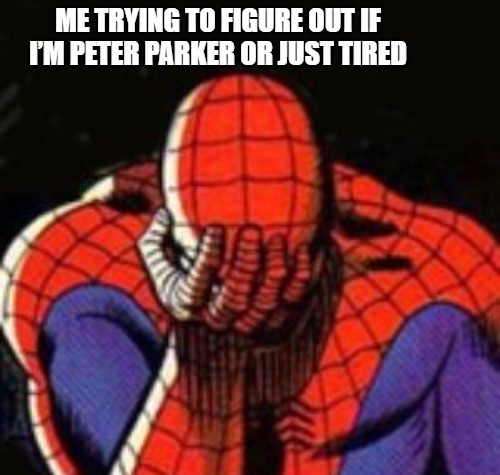 Spider-Man Meme