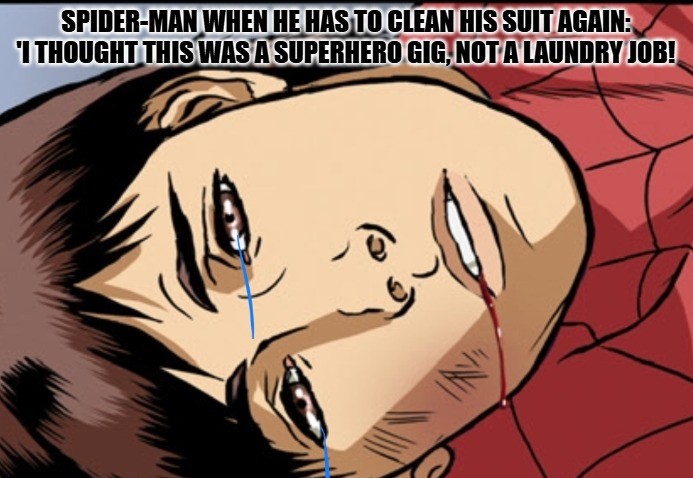 Spiderman Angry Meme