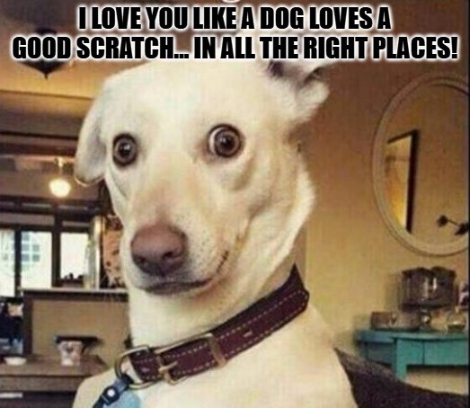  I Love You Meme