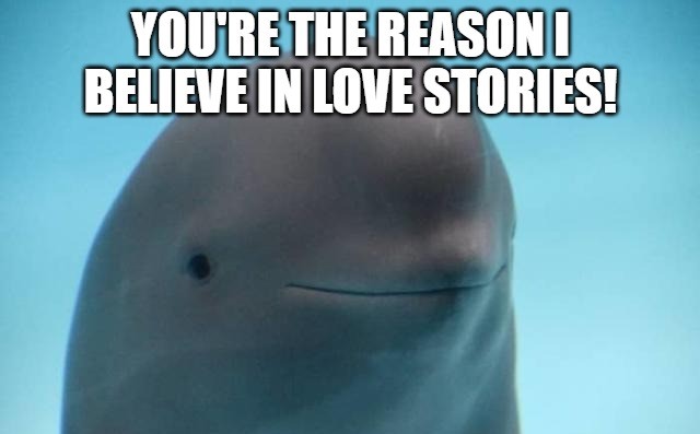  I Love You Meme