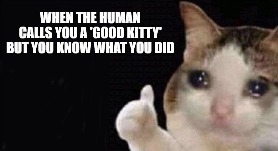 Crying Cat Meme