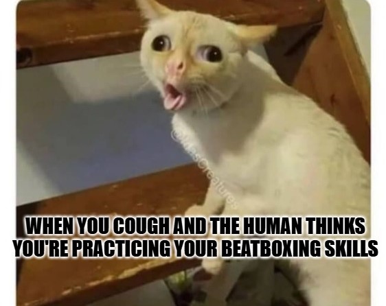 Cat Coughing Meme