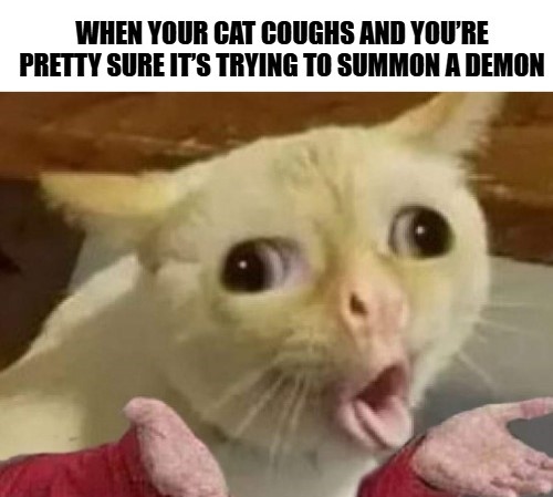 Cat Coughing Meme