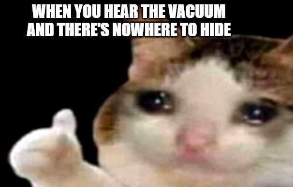 Sad Cat Meme