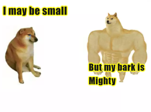 Dog Memes