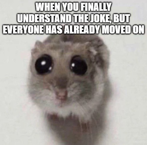 Sad Hamster Memes