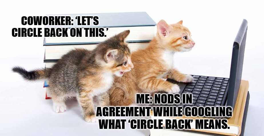 Funny Work Memes