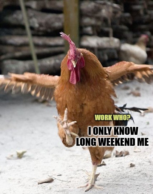 Weekend Memes