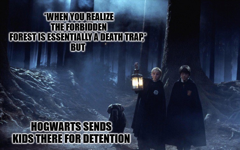 Harry Potter Memes