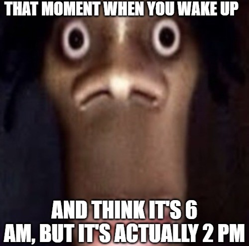 Shocked Memes