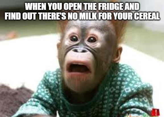 Shocked Memes