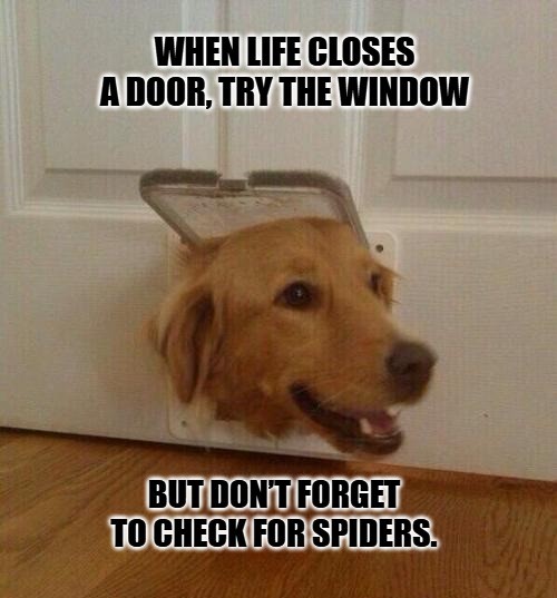 Inspirational Memes