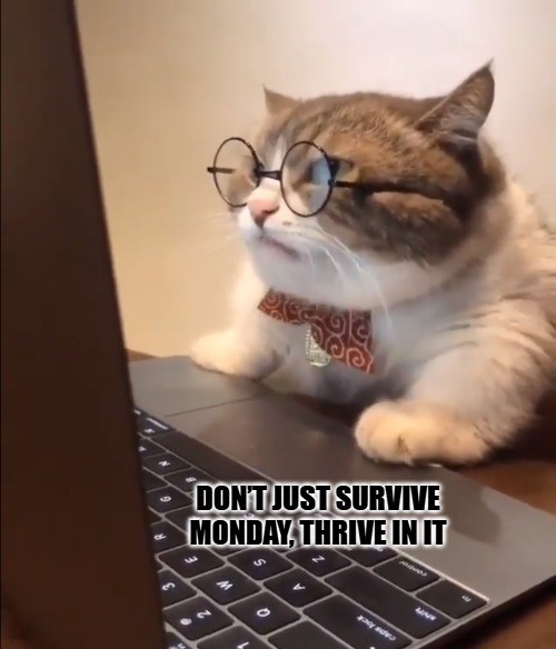 Inspirational Memes