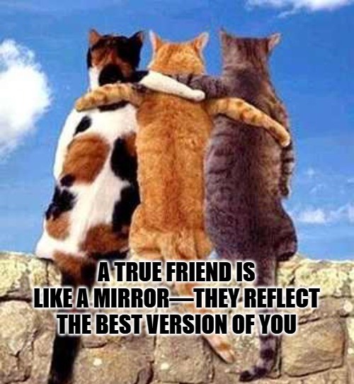 Inspirational Memes