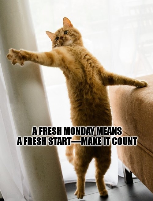 Monday Inspirational Memes