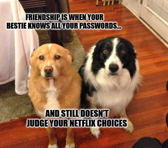 Friendship Memes