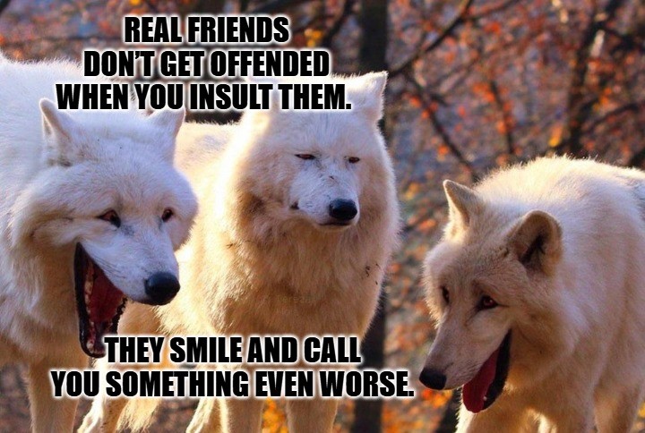 Friendship Memes