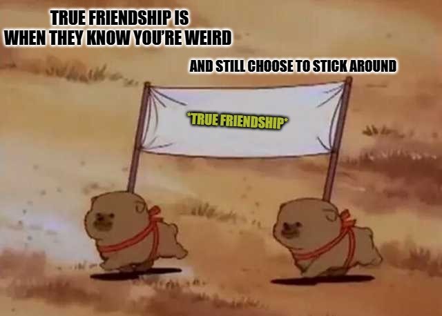 Friendship Memes