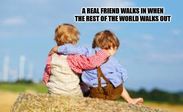 Friendship Memes