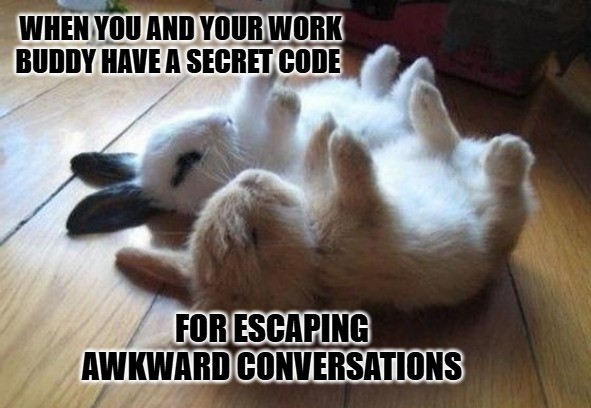 Friendship Memes