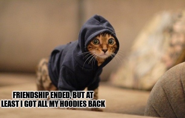 Friendship Memes