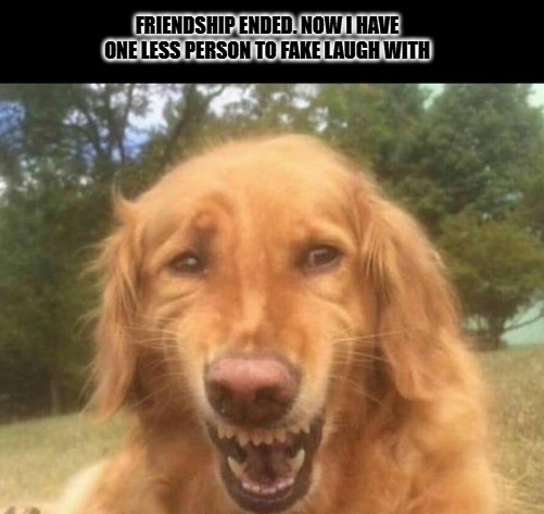 Friendship Memes