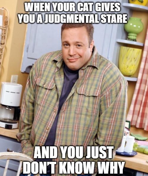 Kevin James Memes