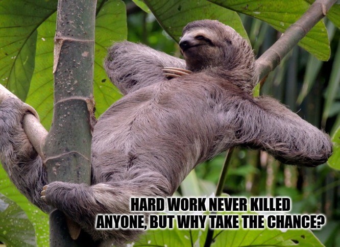Hard Work Memes