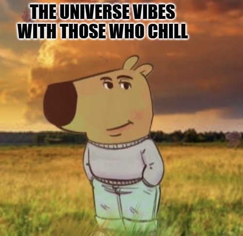 Chill Guy Meme