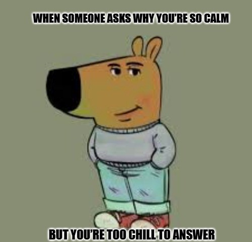 Chill Guy Meme