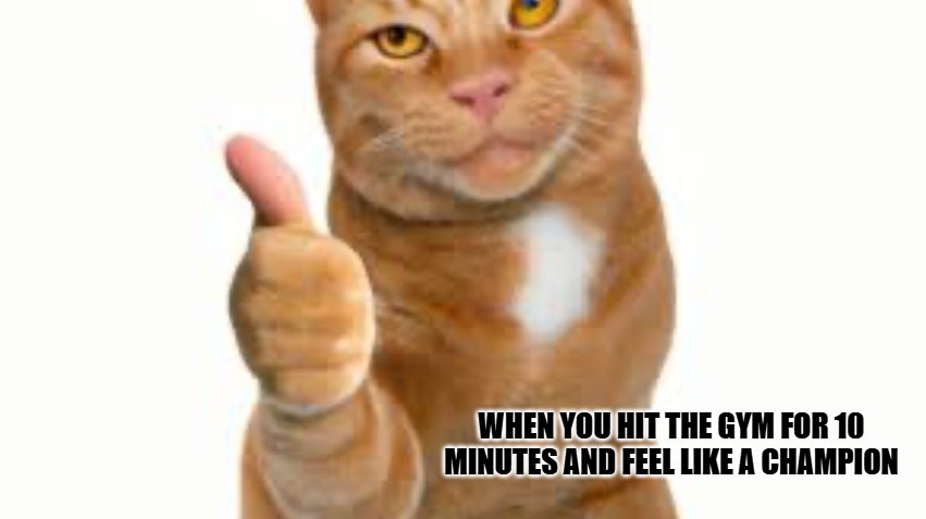 Cat Thumbs Up Meme