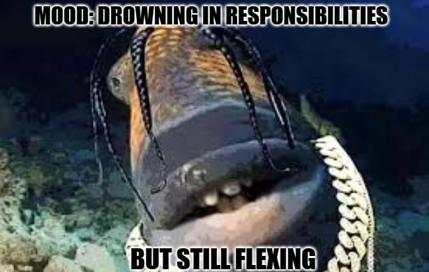 Travis Scott Fish Meme