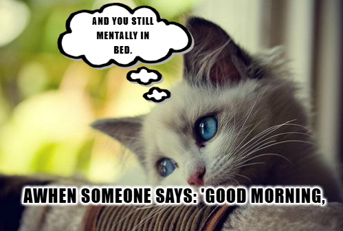 Funny Work Memes