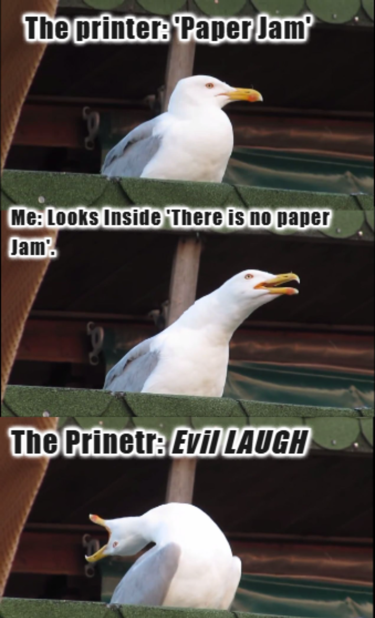 Funny Work Memes