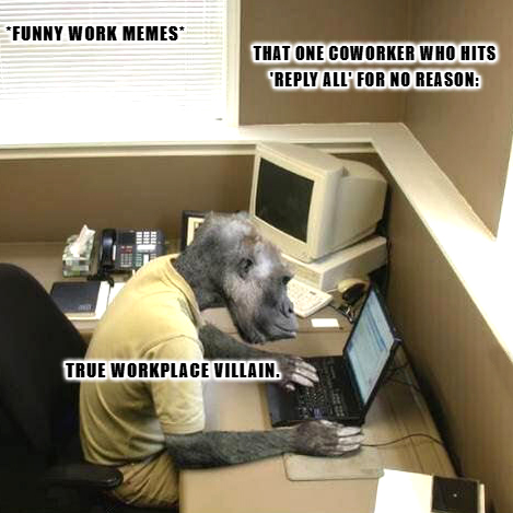 Funny Work Memes