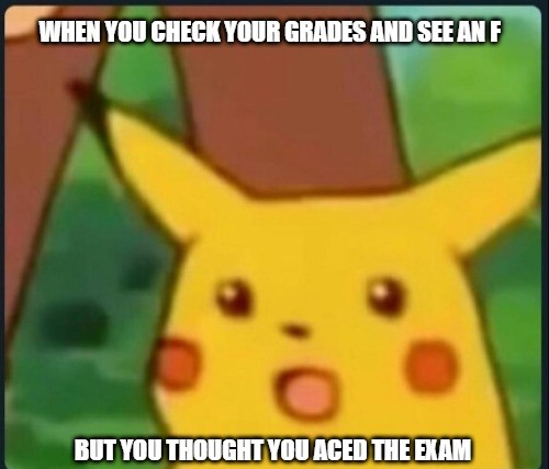 Surprised Pikachu Meme